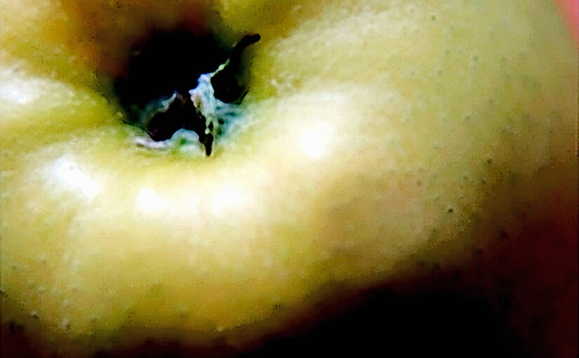 Makrofoto eines Apfels